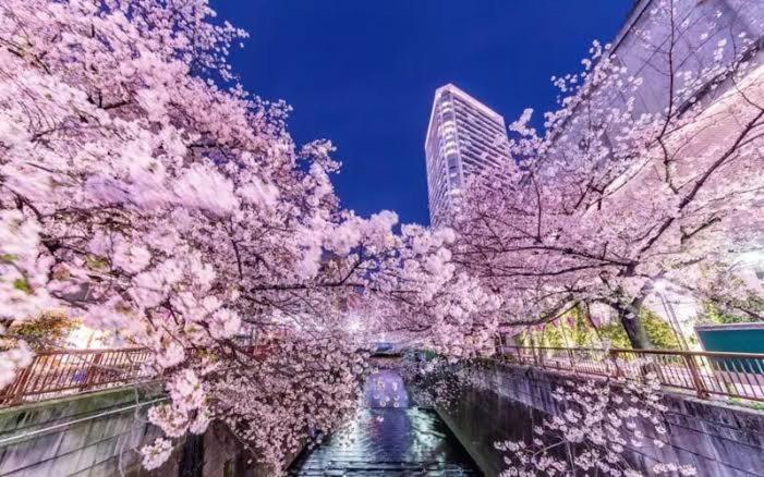 Lucky House503 Tokio